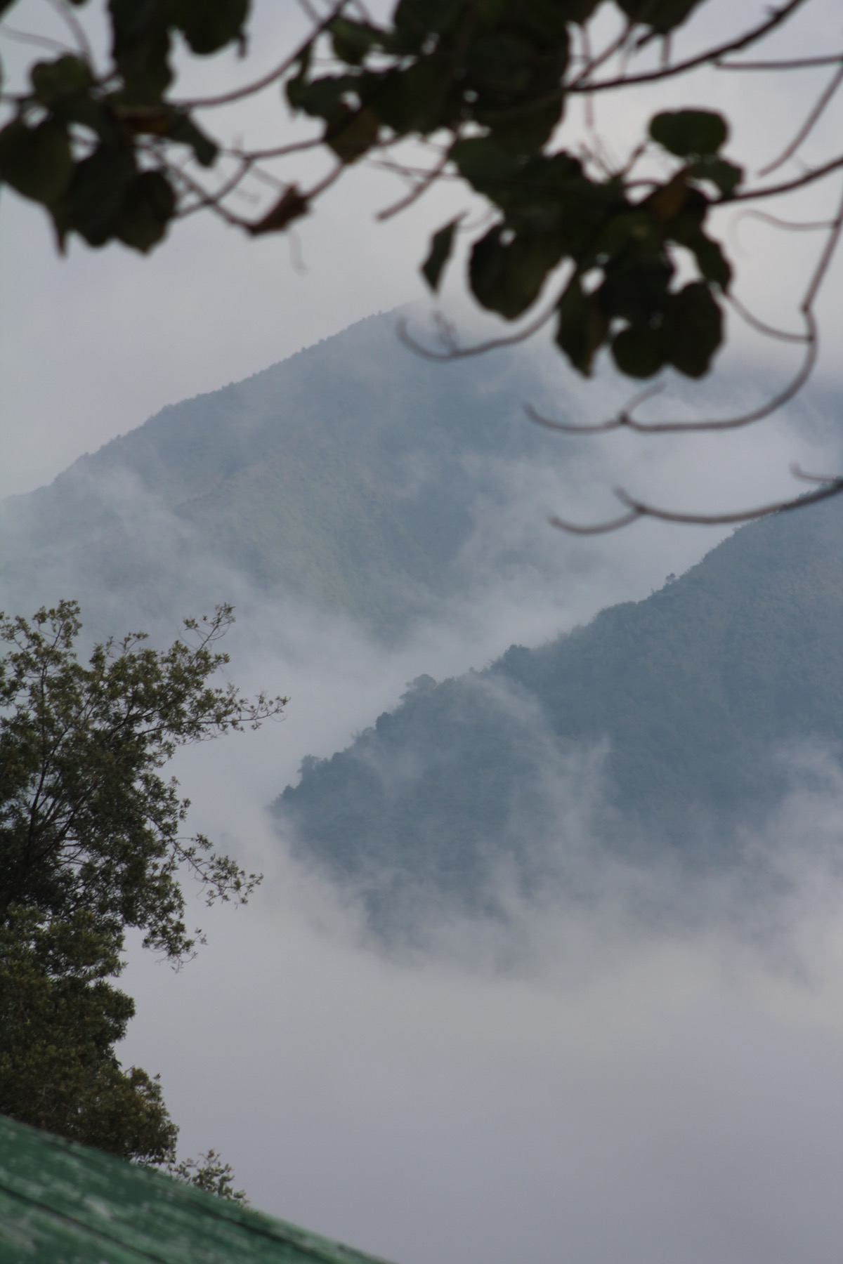 The mountains of Rwanda